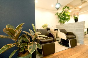 salon_img001